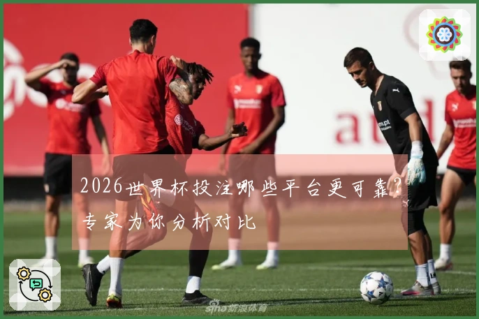 2026世界杯投注哪些平台更可靠？专家为你分析对比