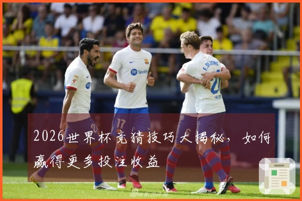 2026世界杯竞猜技巧大揭秘，如何赢得更多投注收益
