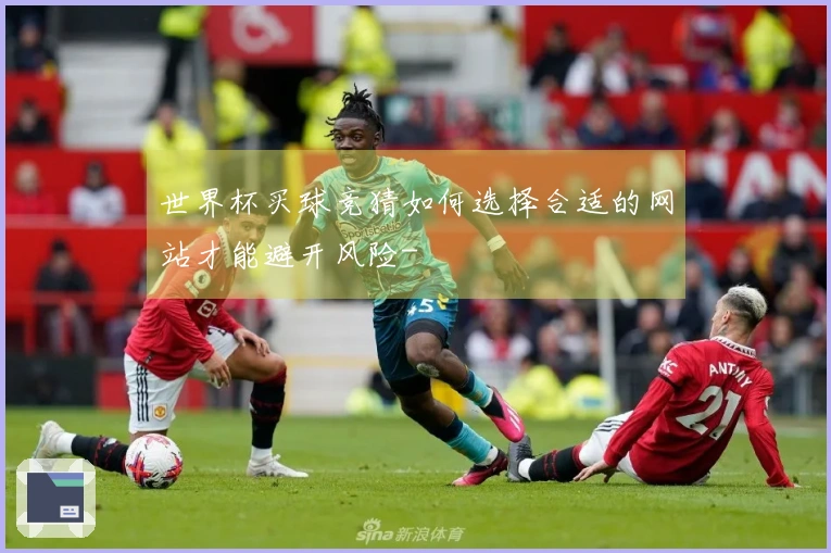 世界杯买球竞猜如何选择合适的网站才能避开风险-
