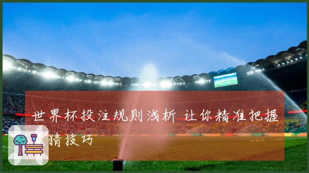 世界杯投注规则浅析 让你精准把握竞猜技巧