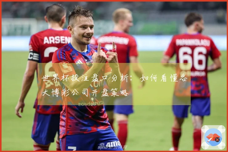 世界杯投注盘口分析：如何看懂各大博彩公司开盘策略