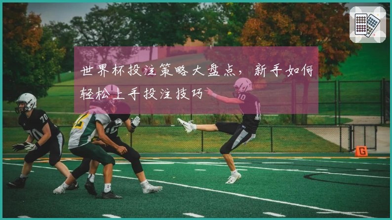 世界杯投注策略大盘点，新手如何轻松上手投注技巧