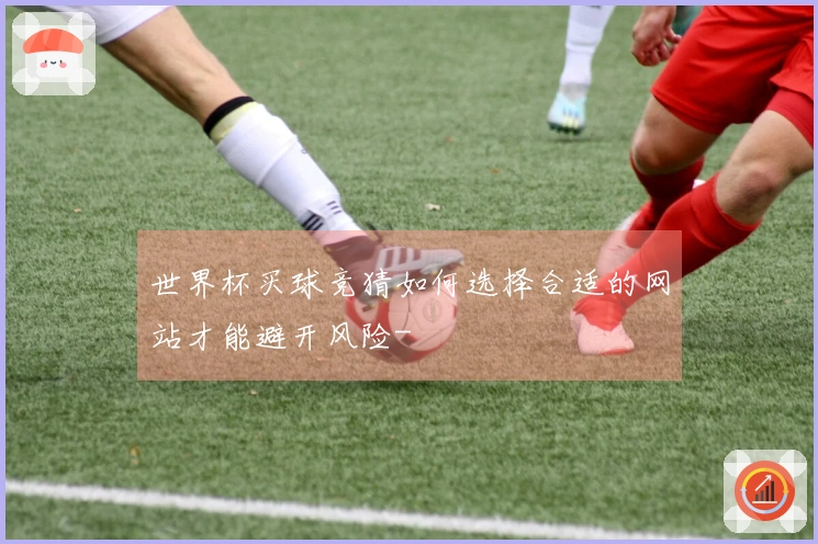 世界杯买球竞猜如何选择合适的网站才能避开风险-