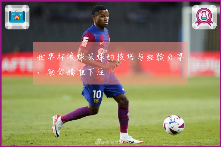 世界杯滚球买球的技巧与经验分享，助你精准下注