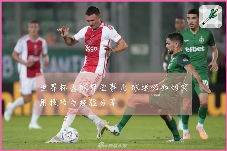 世界杯买球那些事儿 球迷必知的实用技巧与经验分享