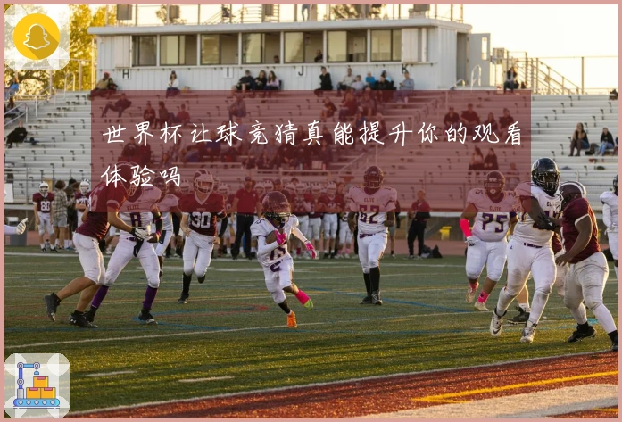世界杯让球竞猜真能提升你的观看体验吗