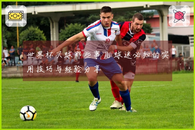 世界杯买球那些事儿 球迷必知的实用技巧与经验分享