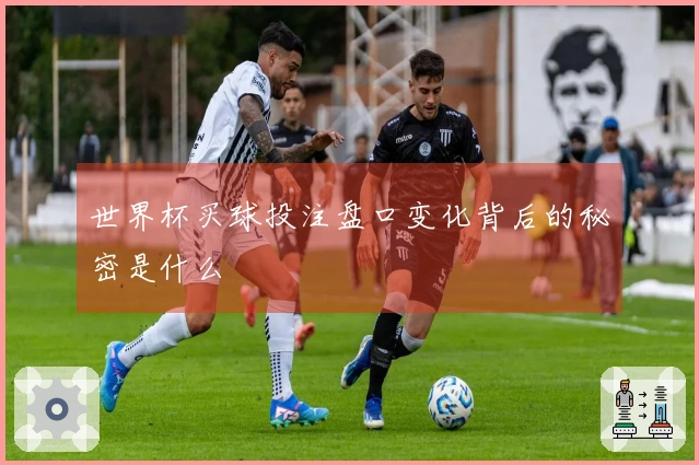 世界杯买球投注盘口变化背后的秘密是什么